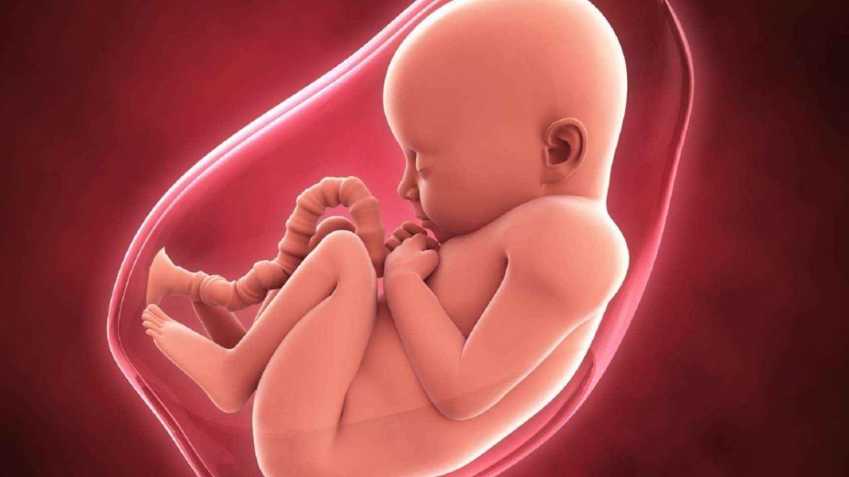Foetus-baby-1-1200x675.jpg